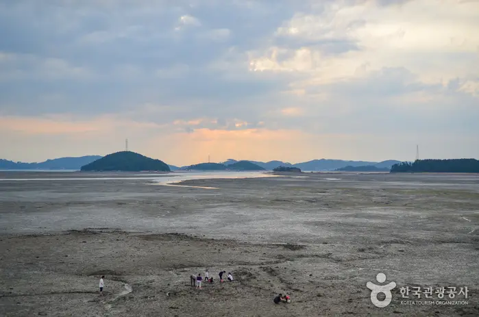 웅도어촌체험마을 · 관광지