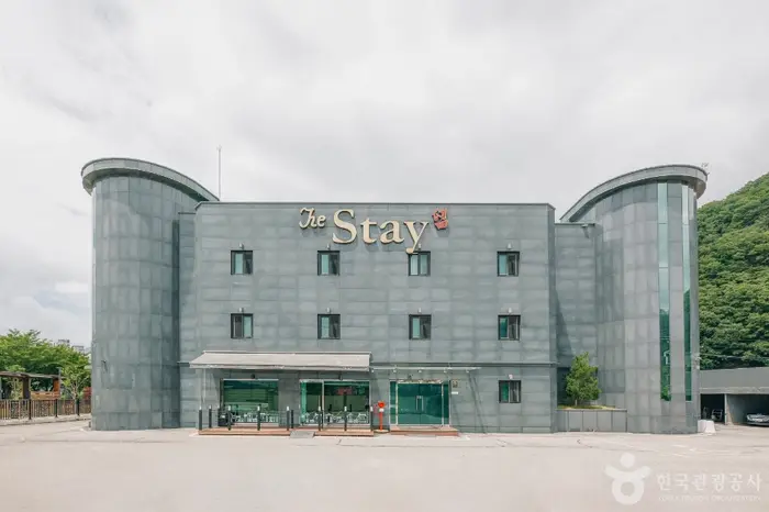 더 스테이호텔 · 숙박