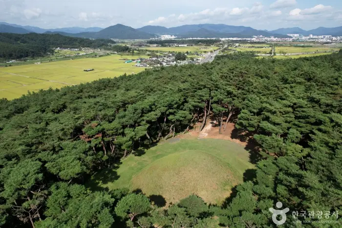 경주 선덕여왕릉 · 관광지