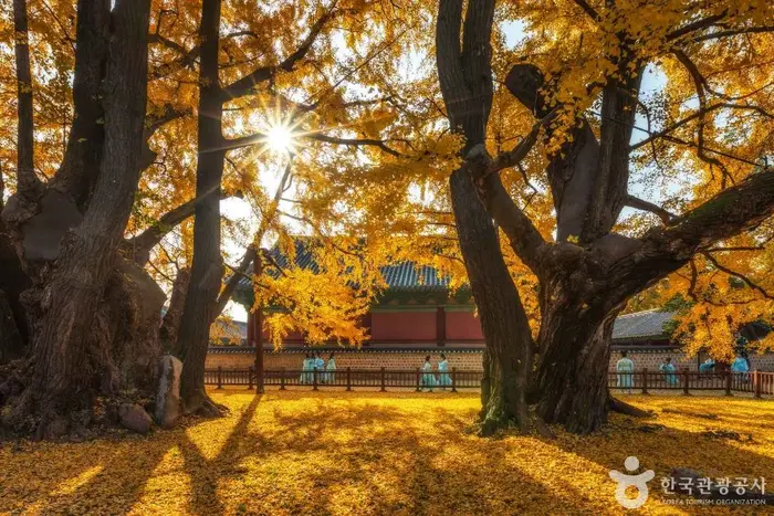 서울 문묘와 성균관 · 관광지