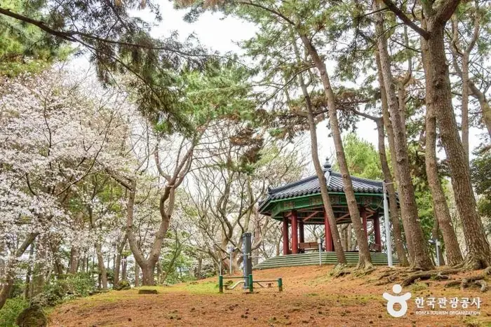 삼무공원 · 관광지