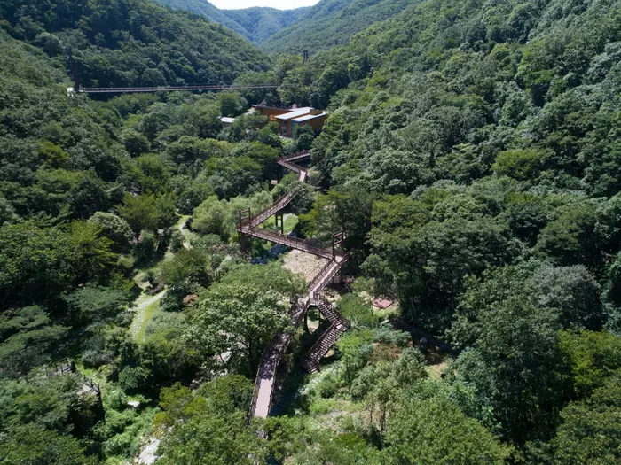 금산산림문화타운 · 관광지