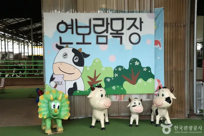 연보람목장 · 관광지