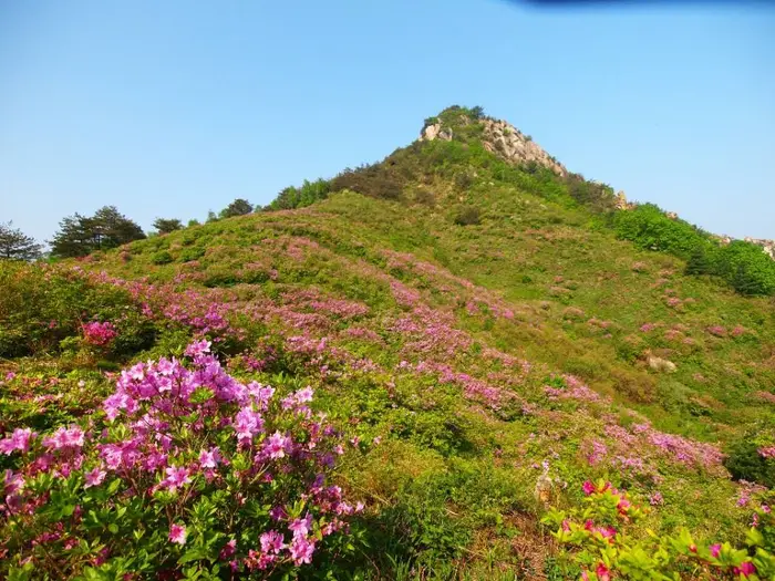 월여산 · 관광지