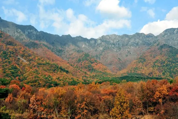 영축산 · 관광지