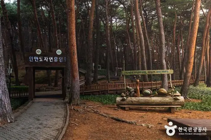 안면도자연휴양림 · 관광지