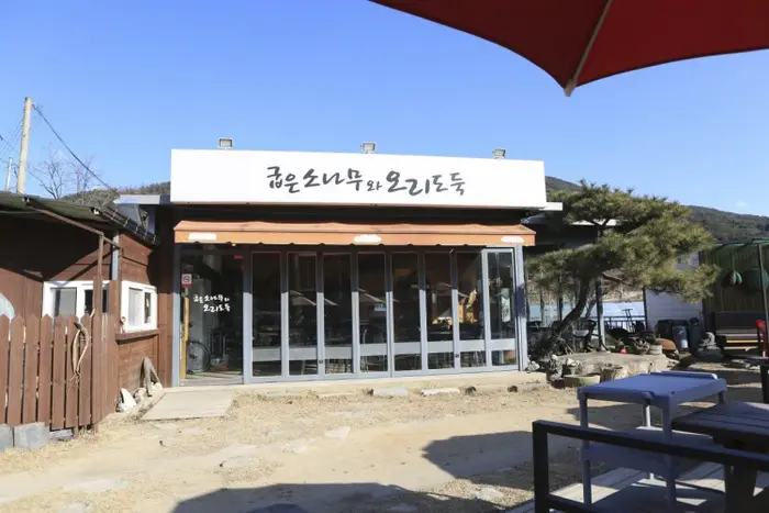 굽은소나무와오리도둑한재미나리 · 음식점