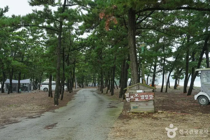 벌천포오토캠핑장 · 레포츠