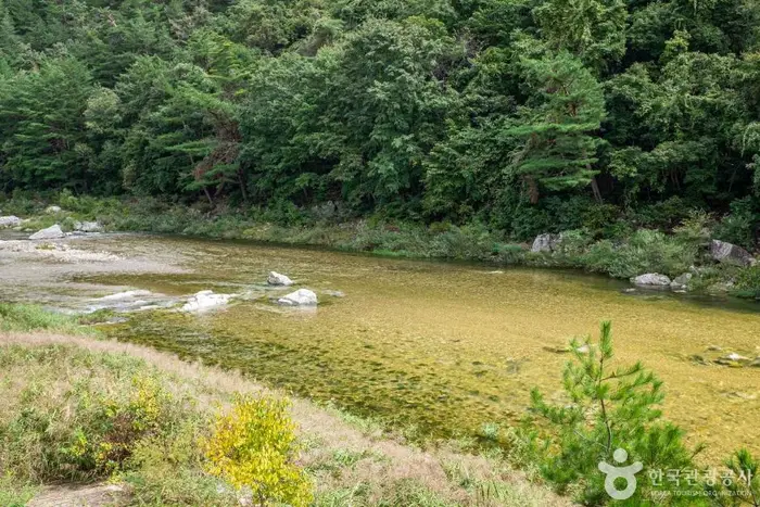 수하계곡(영양) · 관광지