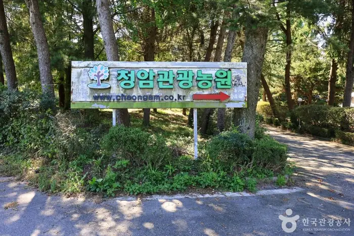 청암관광농원 · 관광지