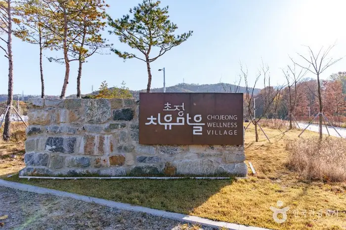 초정치유마을 · 문화시설