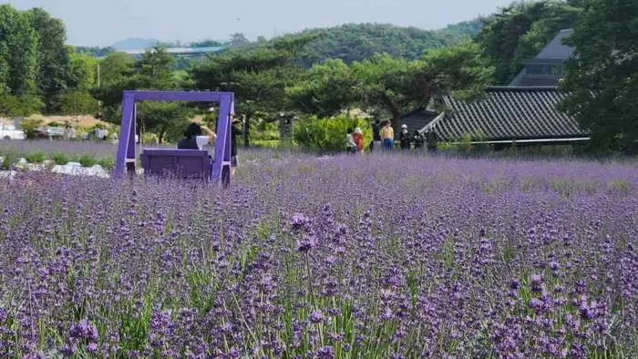 고창 청농원 · 관광지