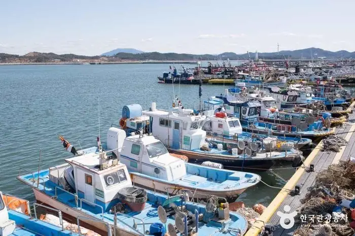 남당항 · 관광지