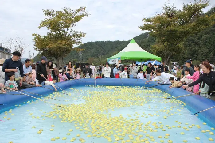 성주가야산황금들녘메뚜기축제 포스터 사진 2