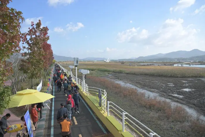 강진만 춤추는 갈대축제 포스터 사진 6