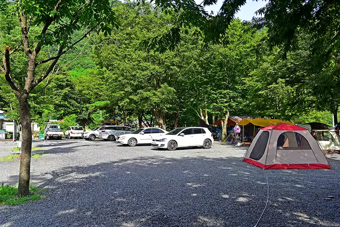 밀양VIP오토캠핑장 · 레포츠
