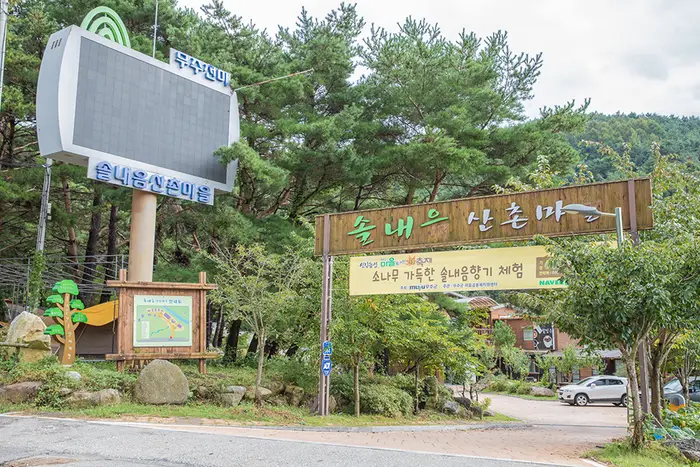 솔내음캠핑장 · 레포츠