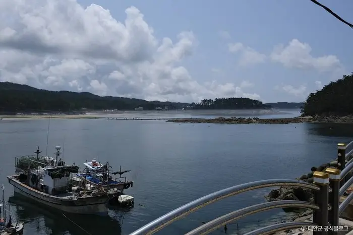 천리포항 · 관광지