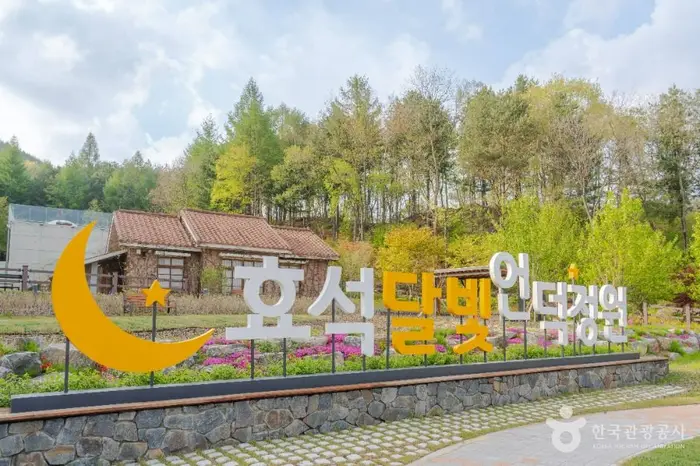 효석 달빛언덕 · 관광지