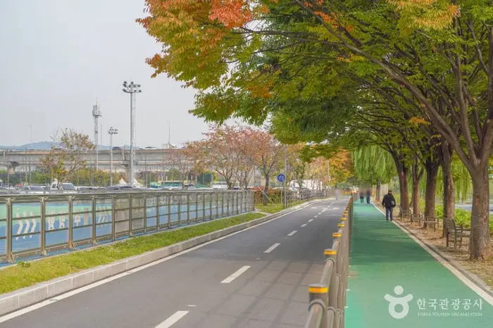 살곶이체육공원 · 관광지