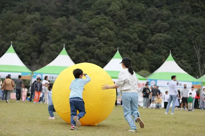 성주가야산황금들녘메뚜기축제 포스터 사진 3