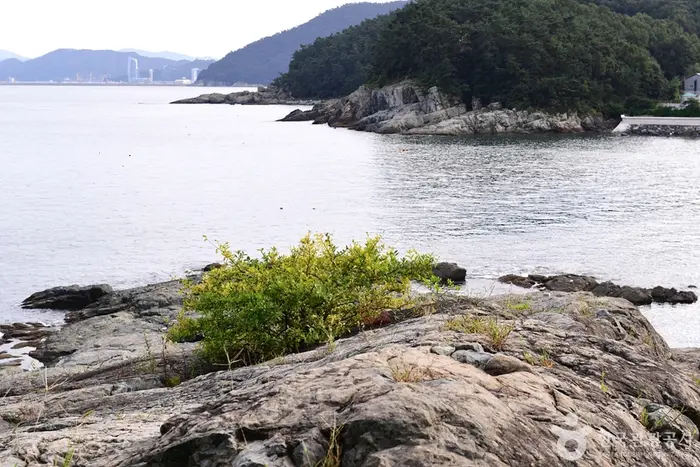 모사금해수욕장 · 관광지