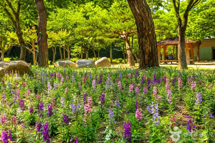 대구앞산공원 · 관광지