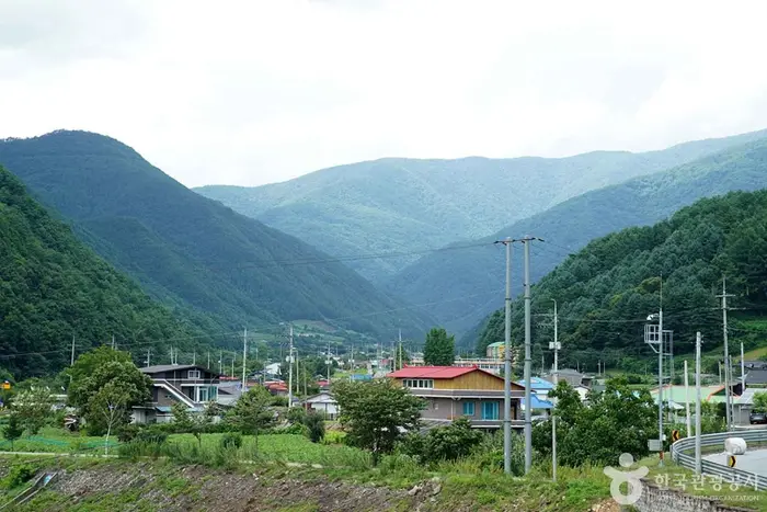 정선 가리왕산마을 · 관광지