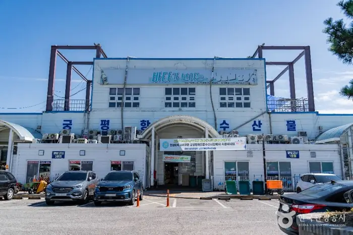 궁평항수산물직판장 · 쇼핑