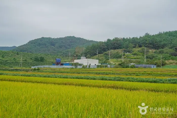 월선체험 휴양마을 · 관광지