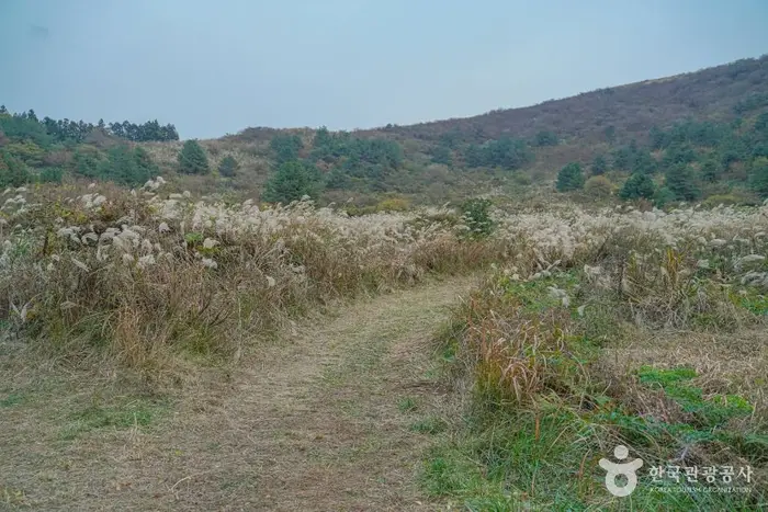 정물알오름 · 관광지