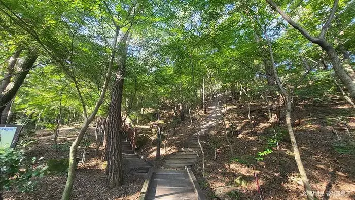 화왕산자연휴양림 · 관광지