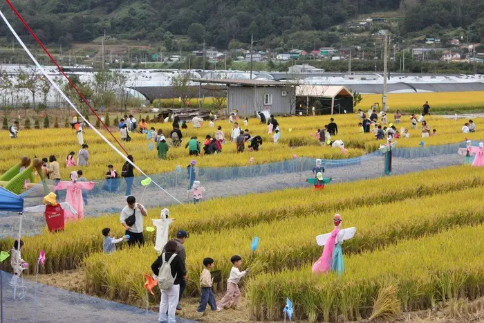 성주가야산황금들녘메뚜기축제 포스터 사진 4