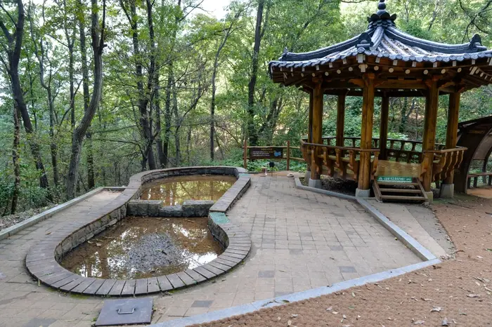 장동산림욕장 · 관광지
