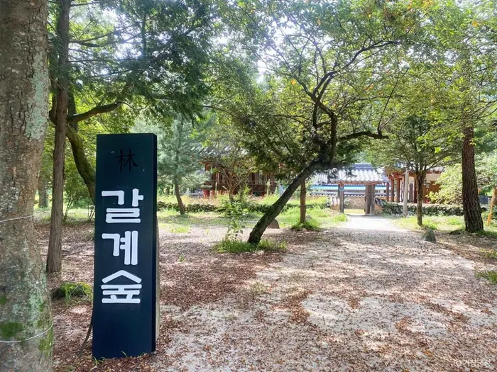 갈계숲 · 관광지