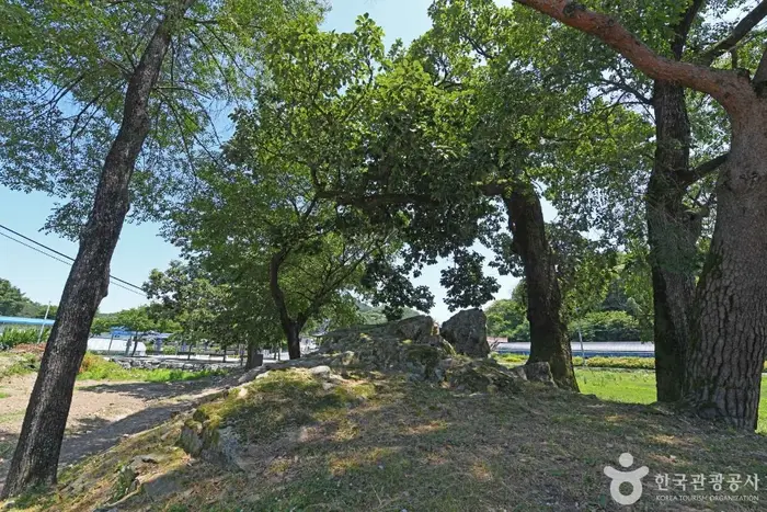 수심대 · 관광지