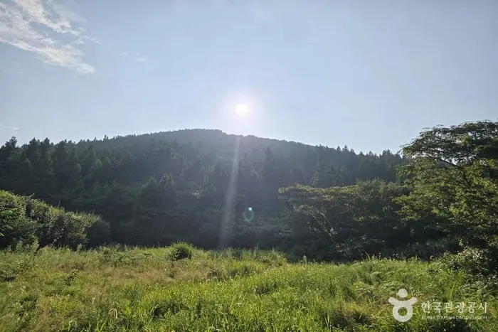 바늘오름 · 관광지