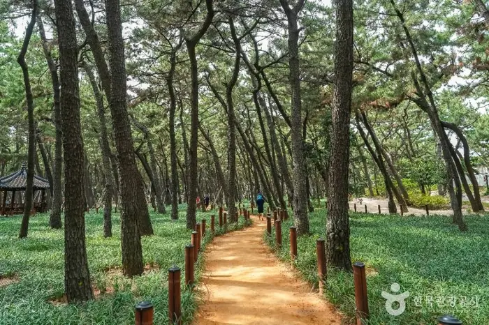 송도솔밭도시숲 · 관광지