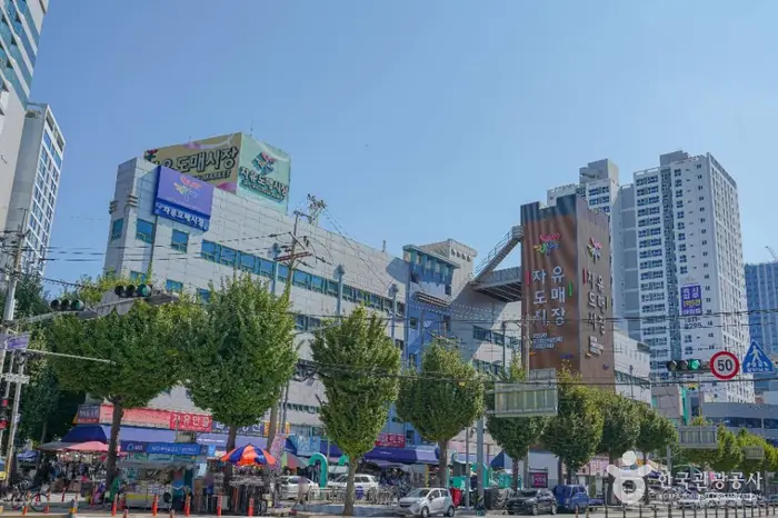 부산 자유도매시장 · 쇼핑