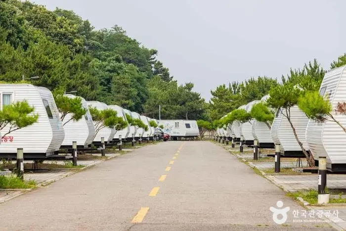 영종씨사이드카라반 · 레포츠