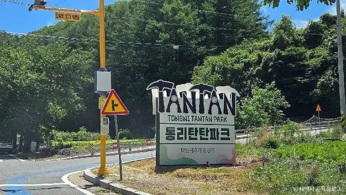 통리탄탄파크 · 관광지