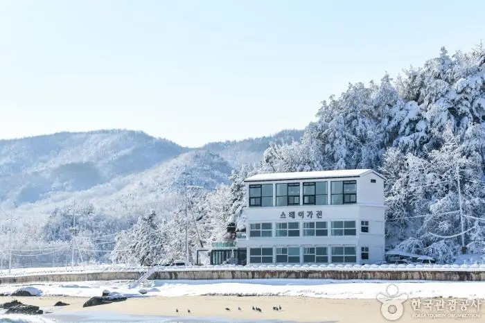 스테이가진 · 숙박