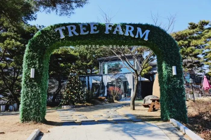 트리팜 · 음식점