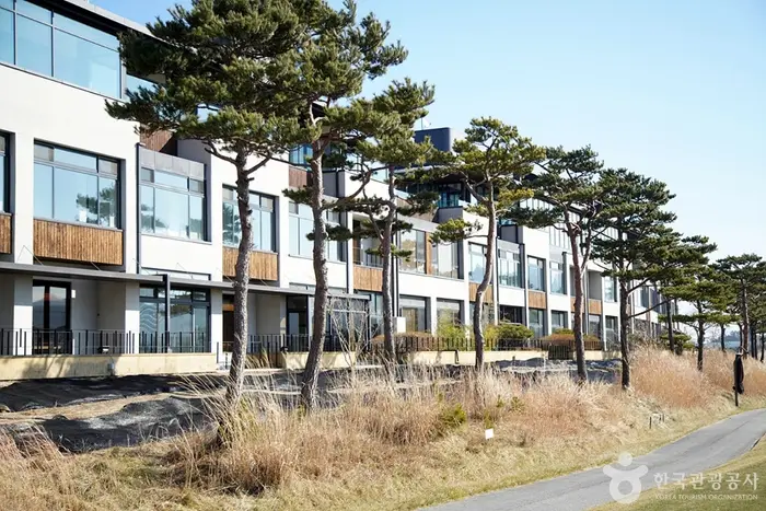 메이플비치 골프&리조트 · 숙박