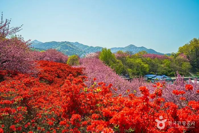 완산공원 · 관광지