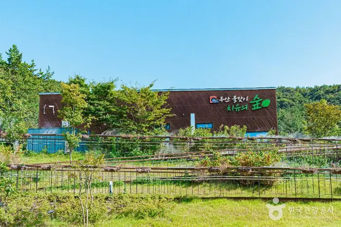 무안 물맞이 치유의 숲 · 관광지