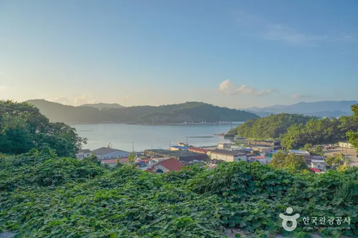 접도 · 관광지