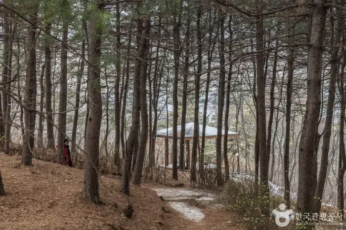 초안산 · 관광지