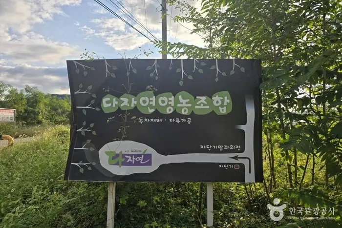 다자연 영농조합법인 · 쇼핑