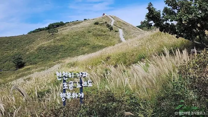 황매산 억새군락지 · 관광지